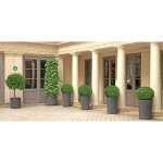 Klebeschild Sammelplatz 20cm