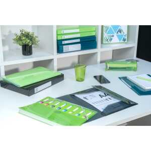 Exacompta Sichtmappe Iderama PP A4 20H sw