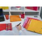 Exacompta Sichtmappe Iderama PP A4 20H rot