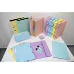 Sichtmappe 60Hüllen Aquarel PP sort