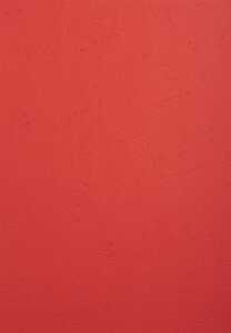 EVERCOVER Rot A4 270G 100BL