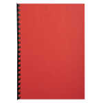 Exacompta Karton Forever rot A4 270G 100Bl