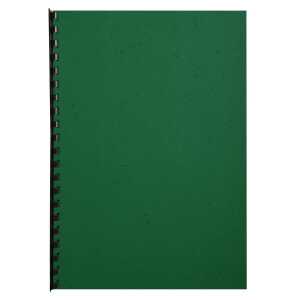 Clairefontaine Karton Forever grün A4 270G 100Bl