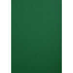 Clairefontaine Karton Forever grün A4 270G 100Bl