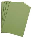 Clairefontaine Etival Pack 25Bl A3 160g apfelgrün