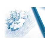 Clairefontaine Zeichenp Mittelkör 224g 55x75 125Bl