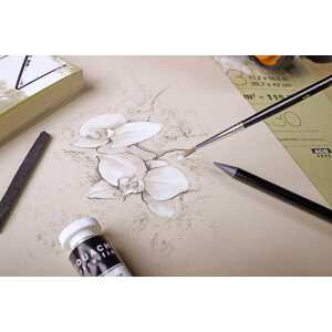 Clairefontaine PaintOn natur Rolle 10x1,3m 250g