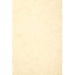 Clairefontaine Europa Card 300 mµ A3 Ivory 50sh