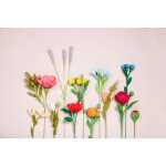 Clairefontaine Floristenkrepp 10Rl 25x100 pastell