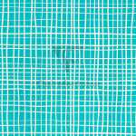 Clairefontaine Tiny Rolls 80g 5x0,35m Linien