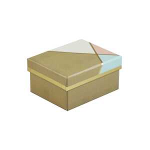 Exacompta Wild day Set 12 miniboxen sort.