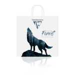 Clairefontaine Papiertasche CLFT bl Wolf 35x14x34
