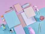 Clairefontaine KB Blush PP 11x17 48Bl karRd st