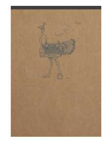 Clairefontaine FSp Block lin Kra 10,5x14,8 70Bl st