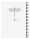 Clairefontaine FSp Spiralb lin w 14x8x21 60Bl st
