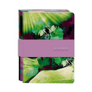 Clairefontaine Egerie 3Hefte Fadenb A5 32Bl lin st 3329681154374