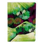 Clairefontaine Egerie 3Hefte Fadenb A5 32Bl lin st 3329681154374