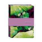 Clairefontaine Egerie 3Hefte Fadenb A5 32Bl lin st 3329681154374