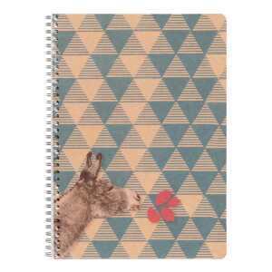 Clairefontaine FC Spiralbuch A4 74Bl linmRd sort.