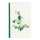 Clairefontaine Hedera Notizb 9x14 72Bl lin sort.