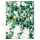Clairefontaine Hedera Sammelmappe 24x32 sort