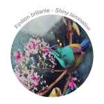 Clairefontaine CC6 Notizheft A4 48Bl linR sort