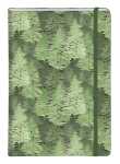 Clairefontaine LVEV Notizbuch A5 48Bl lin sort