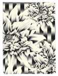 Clairefontaine Kenzo Notizb Spirale A5 74Bl lin st