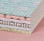 Clairefontaine Neo Notizb 9x14 48Bl lin tropic