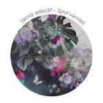 Clairefontaine CC5 Heft Passwort A5 16Bl bedr sort