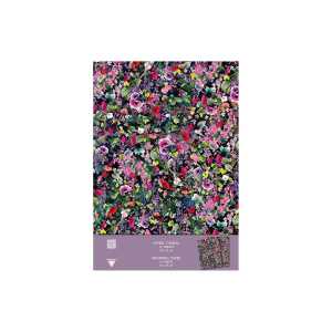 Clairefontaine CC5 Geschenkpapier 10Bg 50x70