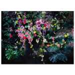 Clairefontaine CC5 Tischset Block 24Bl sort 41x30