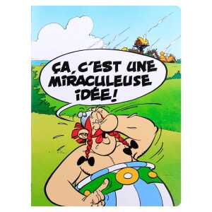 Clairefontaine Asterix 2 Notizh 24x32 F-lin 24Bl