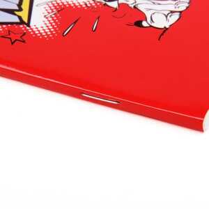 Clairefontaine Asterix3 Idefix Heft 11x17 48Bl lin