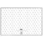 Clairefontaine Asterix3 Idefix Unterlage 60x40 Karten