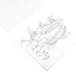 Clairefontaine Asterix3 Zeichenbl 21x21 30Bl w 160g