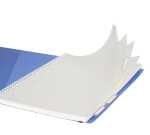 Clairefontaine Proactiv Linico 22,5x29,7 80Bl k+Rd