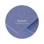 Clairefontaine Karte Pollen 160x160 210g vmnicht