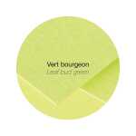 Clairefontaine Karte Pollen 160x160 210g kospgrün