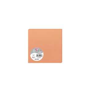 Clairefontaine Karte Pollen 135x135 210g Nektar