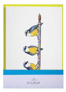 Korrespondenzset Fantasie, Doppelkarte + Umschlag C6,