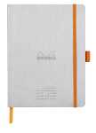 Rhodia Rhodia Meeting A5+ 80bl 90g silber