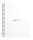 Rhodia RhodiaNotebook A5+ 80Bl DOT 80g ws
