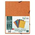 Exacompta Sammelm GZ 3Kl A4 10er Pck 355g st