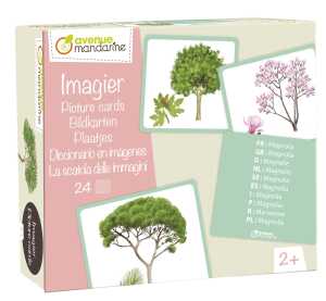 Clairefontaine Bildkarten, Bäume