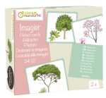 Clairefontaine Bildkarten, Bäume