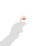 Clairefontaine Cooky, Blumen, 1Bg 7,5x12