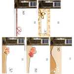 TAUN Tischkarten 6er Pack Goldhochzeit - exklusiv