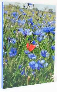 ADINA Notizbuch A4 fester Deckel Lineatur gepunktet Kornblumen