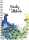 Spiralbuch Oxford B5 dotted Pfau 90 Blatt SCRIBZEE® kompatibel